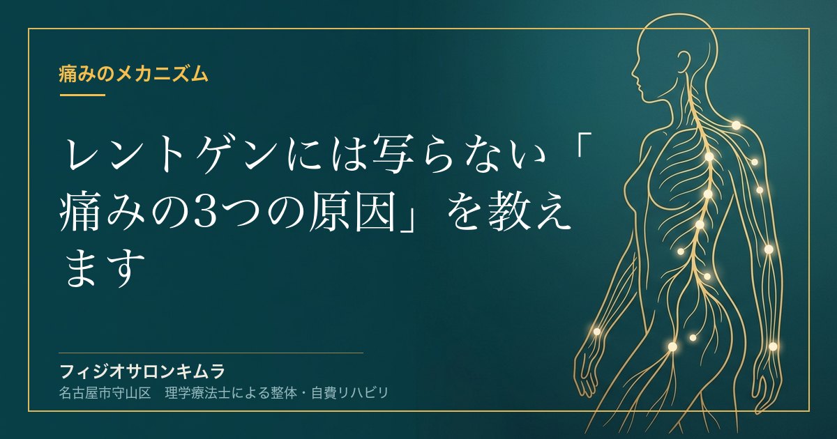 【18年の結論】レントゲンには写らない「痛みの3つの原因」を教えます