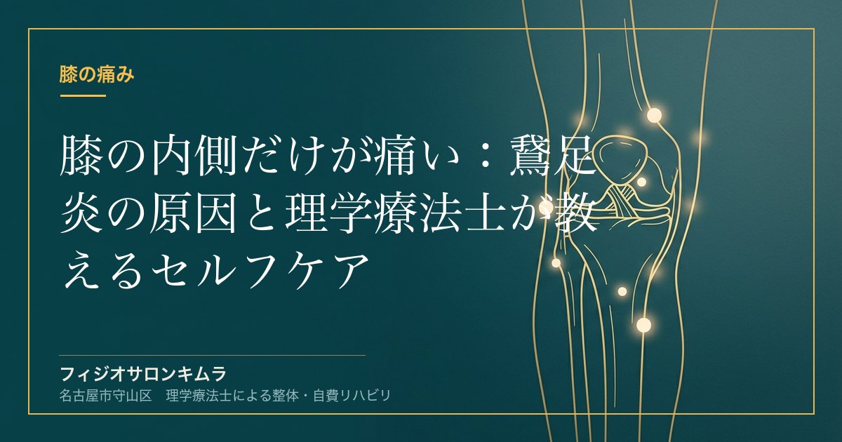 膝の内側だけが痛い：鵞足炎の原因と理学療法士が教えるセルフケア