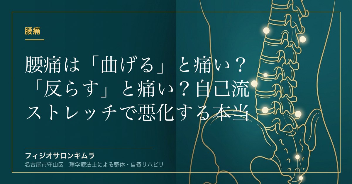 腰痛は「曲げる」と痛い？「反らす」と痛い？自己流ストレッチで悪化する本当の理由